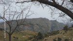 Καρυά