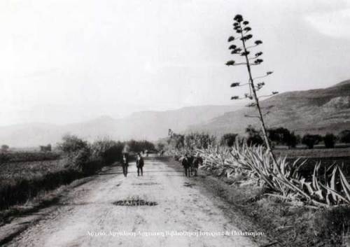 Ο δρόμος από το Ναύπλιο προς το Άργος, λίγο πριν φθάσουμε στην Τίρυνθα το 1922.
