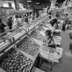 Εργάτριες σε εργοστάσιο εσπεριδοειδών, 1963