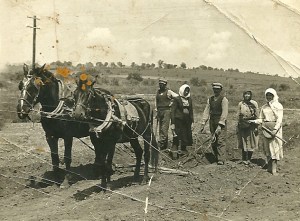 Όργωμα σε χωράφι μπροστά στη Σάντα Ρόζα στις 5 Μαΐου του 1955. Φωτογραφία από τον ιστότοπο «Γραφική παλιά Αλεξανδρούπολη».