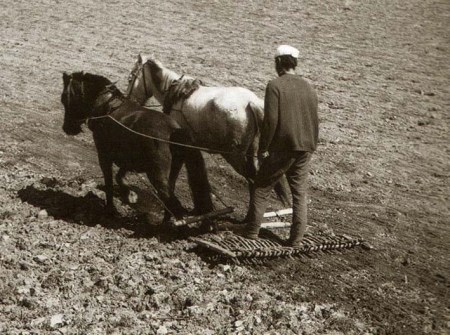 Σβάρνα, φωτογραφία από την ηλεκτρονική Εφημερίδα του Βαλτινού.