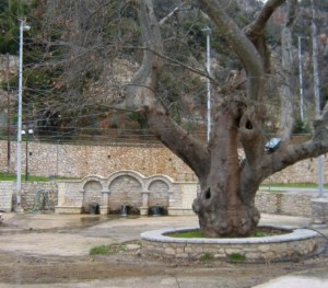 Κρήνη - Βρούστι Αργολίδας    