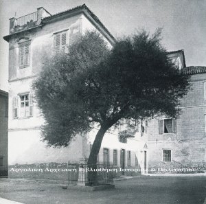 Η ελιά του Μηνιάτη στην πλατεία της Παναγίτσας. Δημοσιεύεται στο: Σέμνη Καρούζου, «Το Ναύπλιο», εκδ. Εμπορική Τράπεζα της Ελλάδος, 1979.