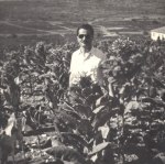 ΠαναγιώτηςΜπιμπής